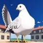 世界末日生存內(nèi)置修改版攻略