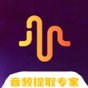 ins提取视频